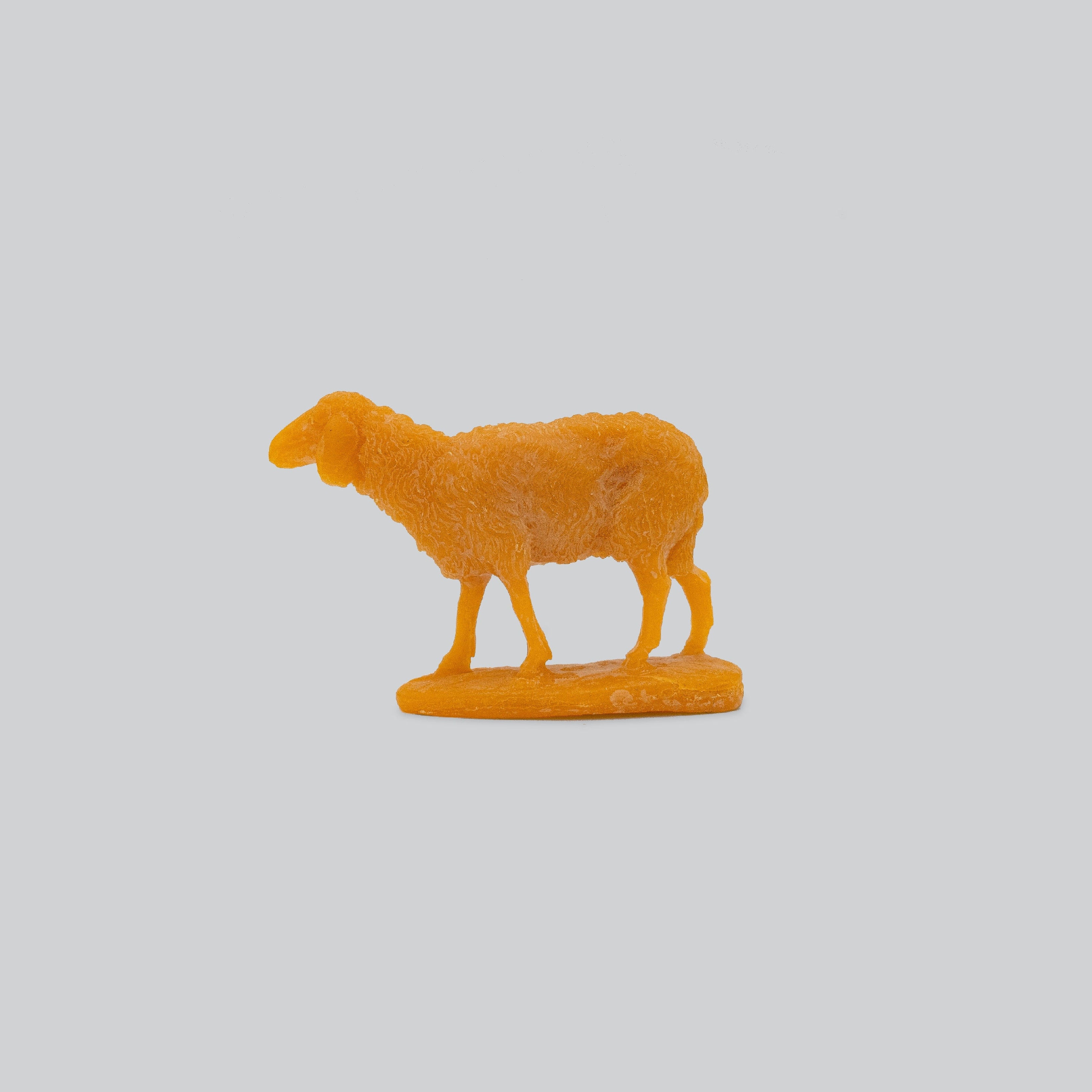 E RT X LRC SHEEP